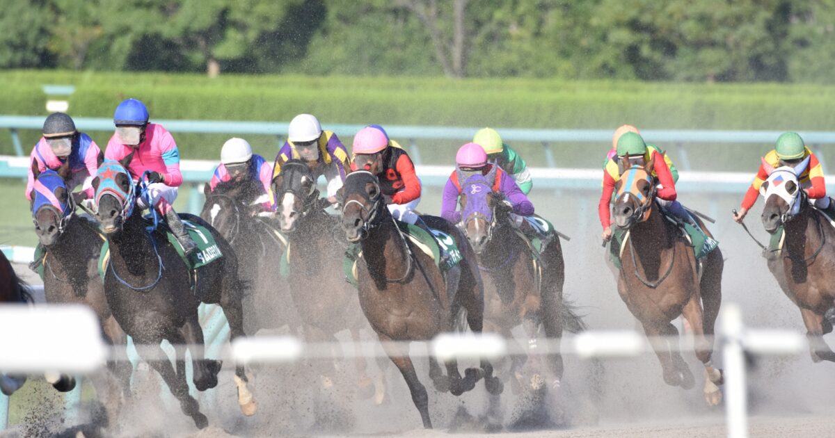 砂煙を上げながら競走する競走馬と騎手たち