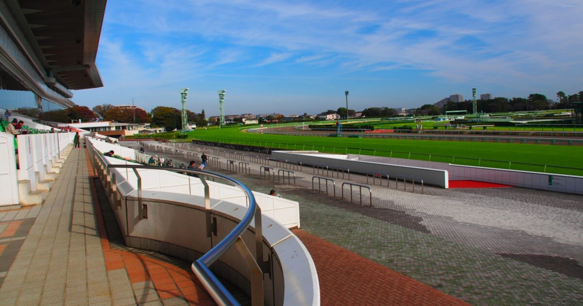 青空の下で広がる芝コースとスタンドのある競馬場