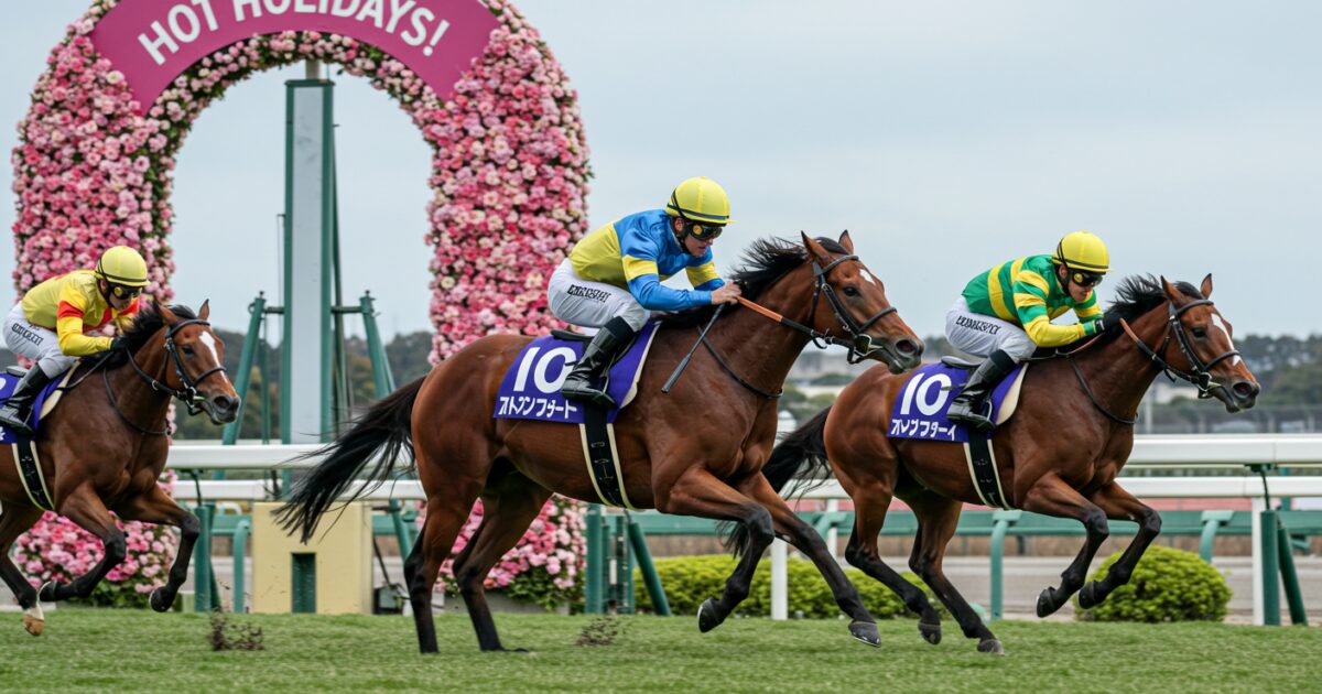 花のゲート前で接戦を繰り広げる競走馬たち