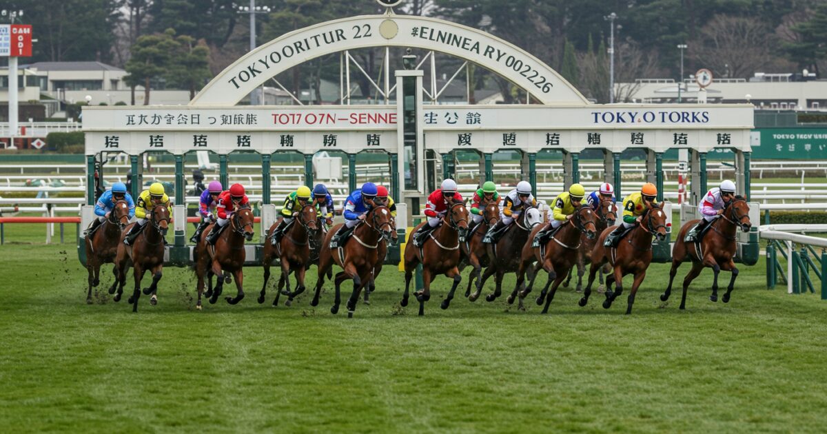スタートゲートを勢いよく飛び出す競走馬たち