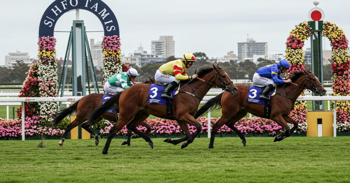花に囲まれたゲート前を疾走する競走馬たち
