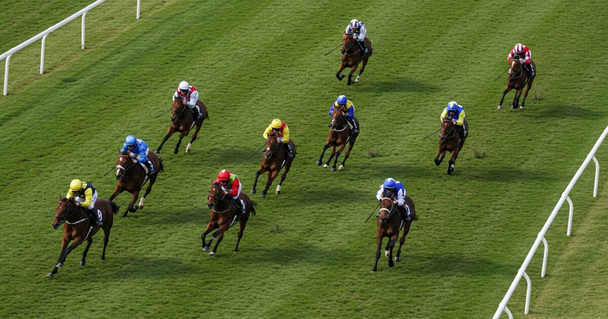 上空から見た芝コースを走る競走馬の隊列