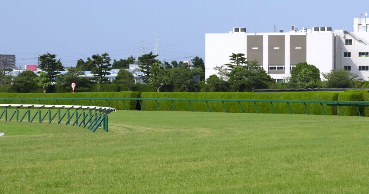緑の芝生と柵が続く競馬場の直線コース