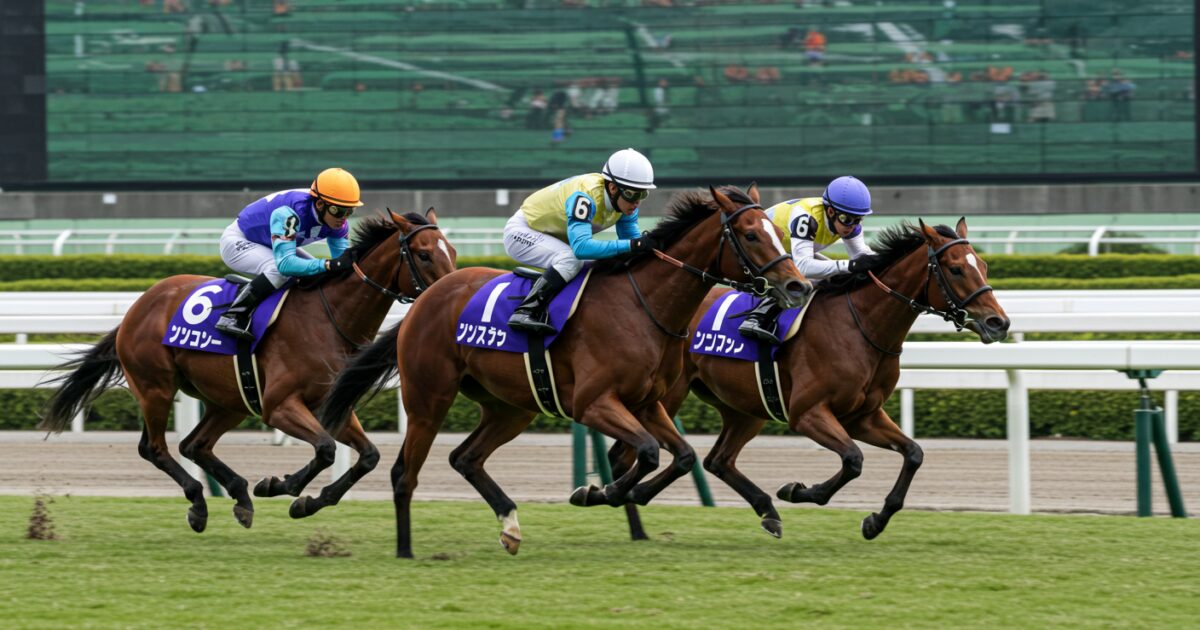 三頭が横並びで接戦を繰り広げる芝コースの競馬