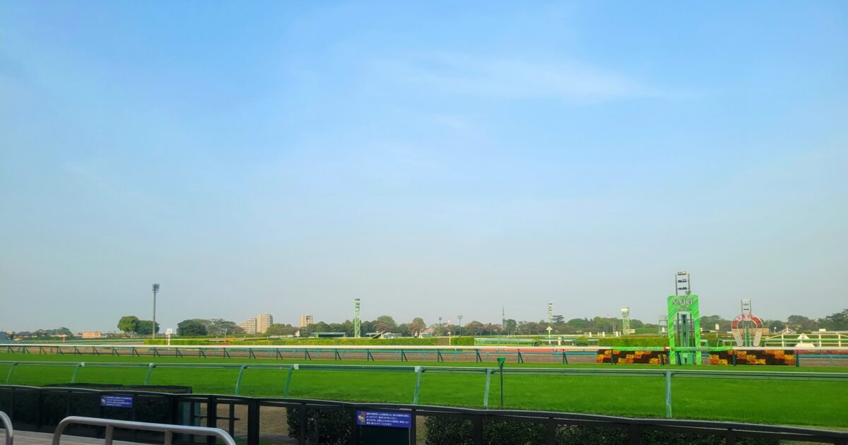 快晴の競馬場と整備された芝コースの全景