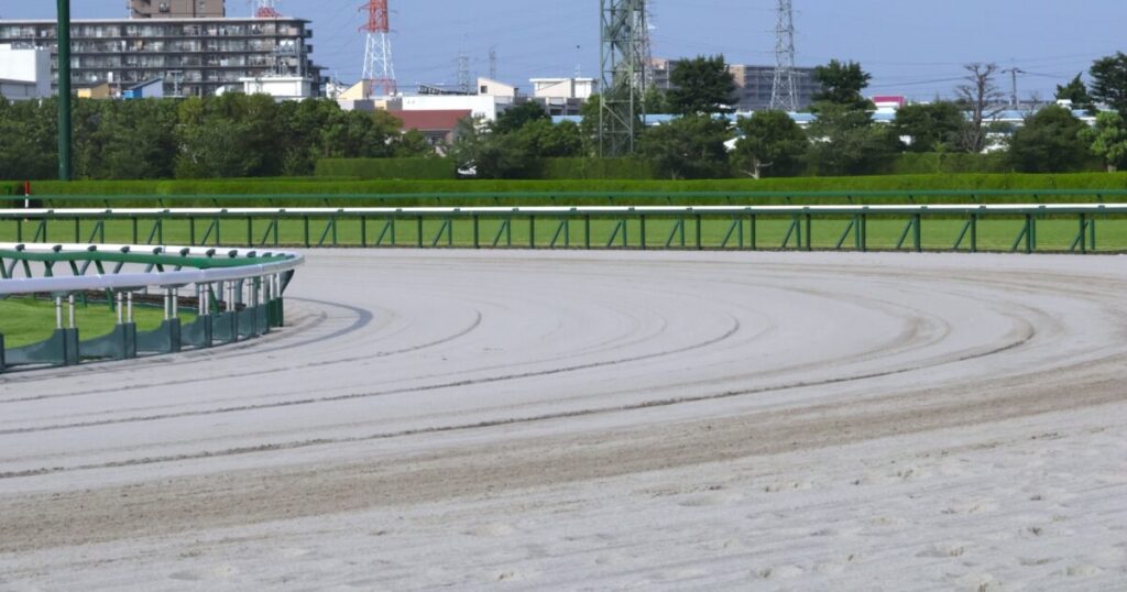 砂の競馬場のカーブコース