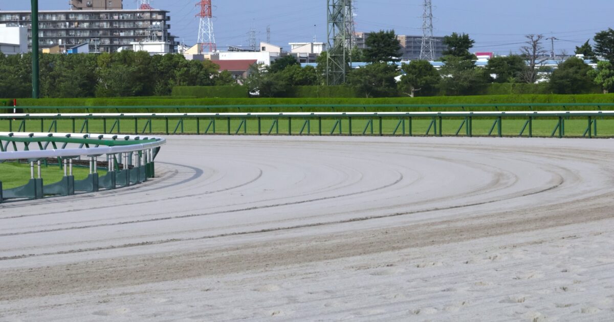 砂の競馬場のカーブコース