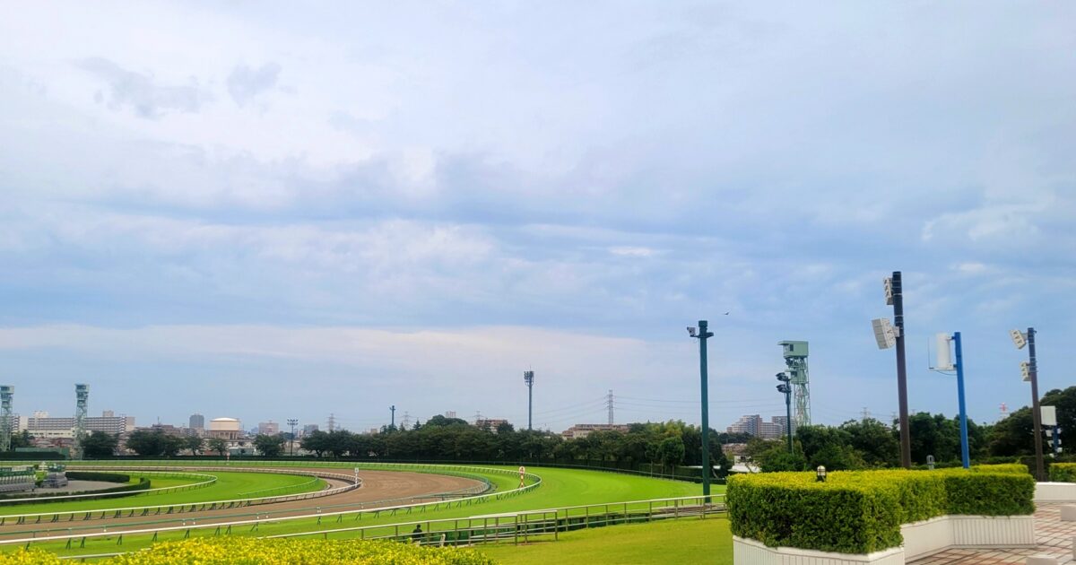 芝とダートのコースが広がる競馬場の風景