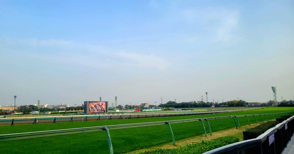 大型ビジョンがある緑豊かな競馬場の直線コース